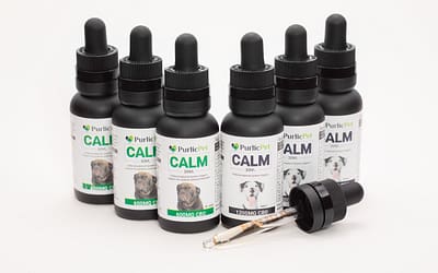 Offering CBD Tinctures at Your Retail Store: A Guide for Pet Business Owners
