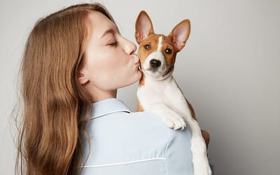 The Ultimate Guide to CBD Tinctures for Pets: Benefits and Uses